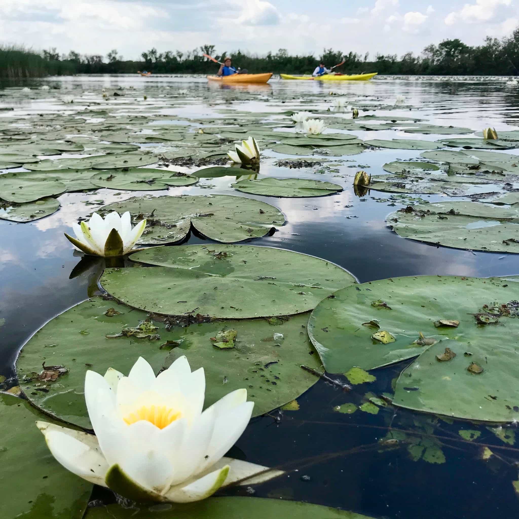 Tisza-tó expedíció 2
