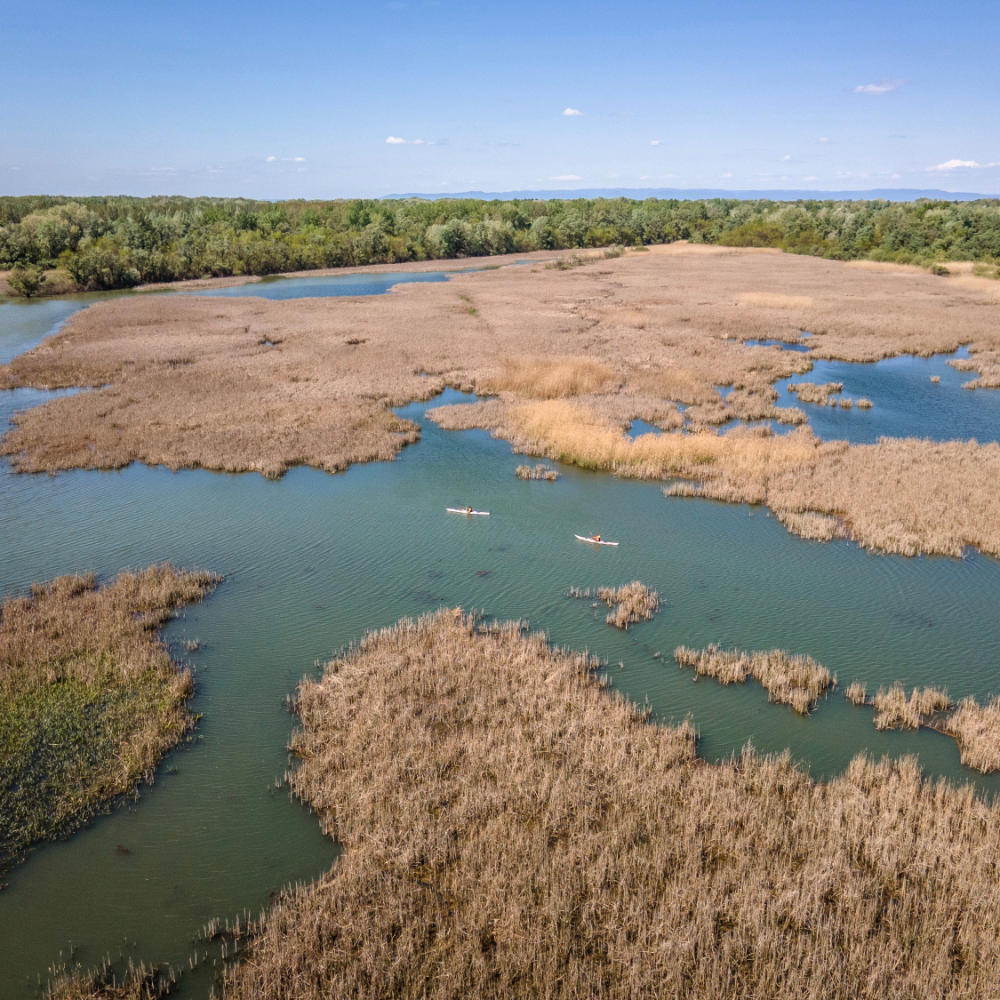 Tisza-tó expedíció 3